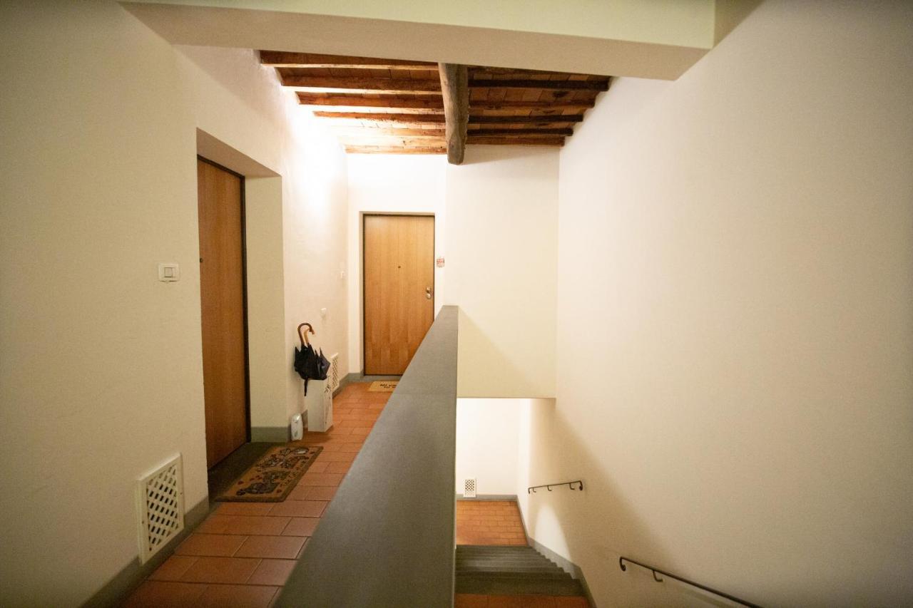 Serena Apartment, Cosy Close Center Town 卢卡 外观 照片